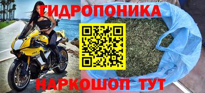 прущая мука Гусев