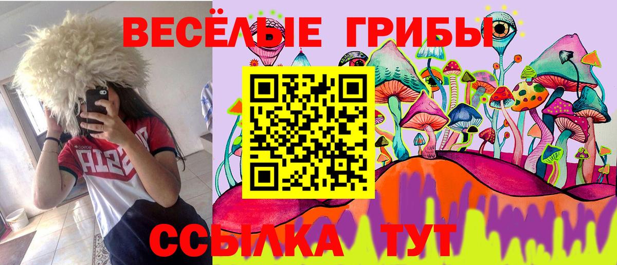 Галлюциногенные грибы Psilocybine cubensis Нижнекамск